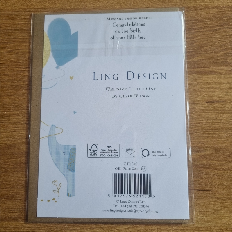 Baby Boy Greeting Card