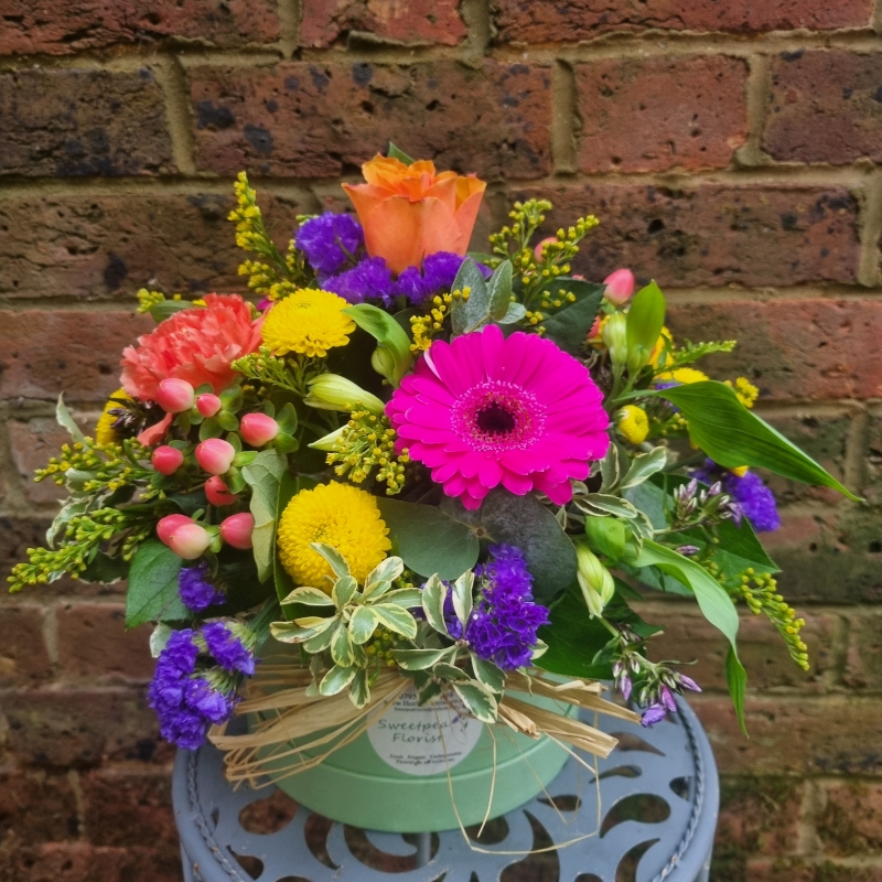 Vibrant Hat box Arrangement Florist Choice