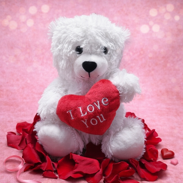 'I Love you' Bear