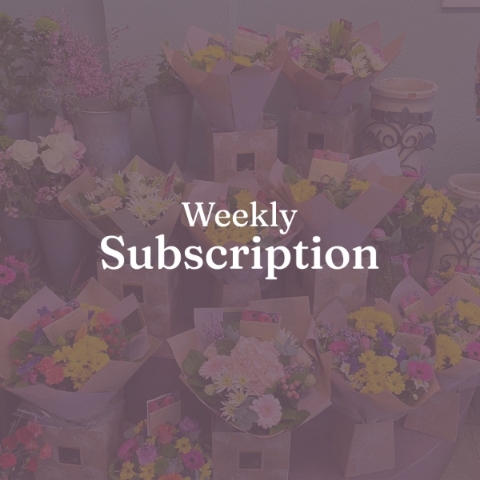 Weekly Subscription
