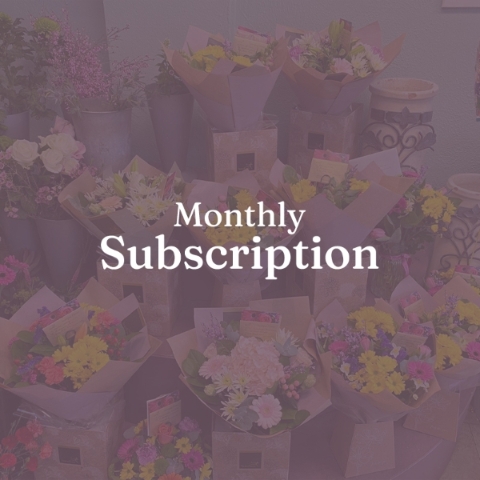 Monthly Subscription