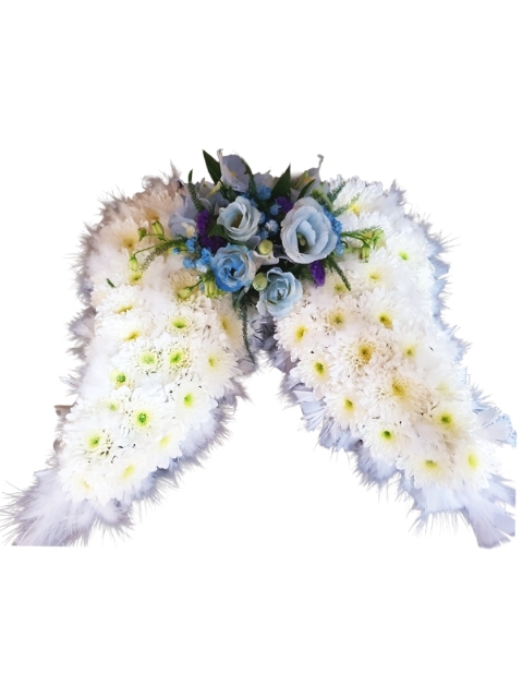 Angel wings