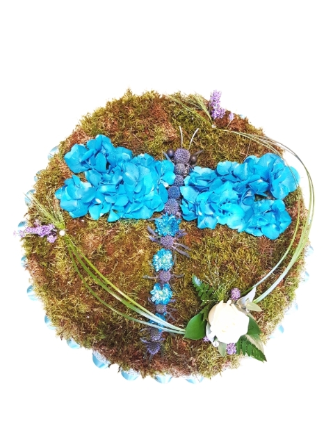 Dragonfly Tribute