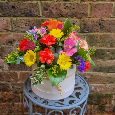 Vibrant Hat box Arrangement Florist Choice