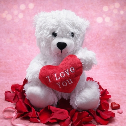'I Love you' Bear