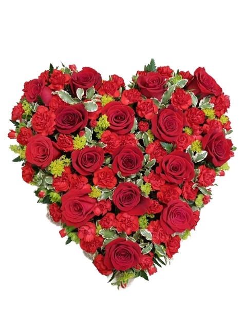 Red Rose & Carnation Heart